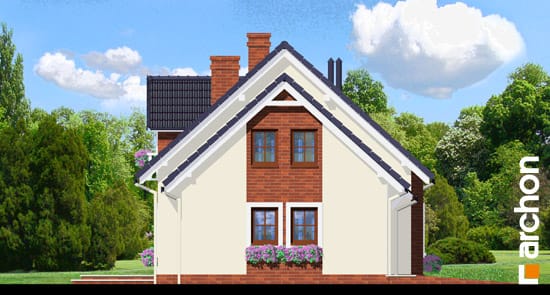 Archon+ Projekty domów - Dom w bławatkach - elewacja boczna