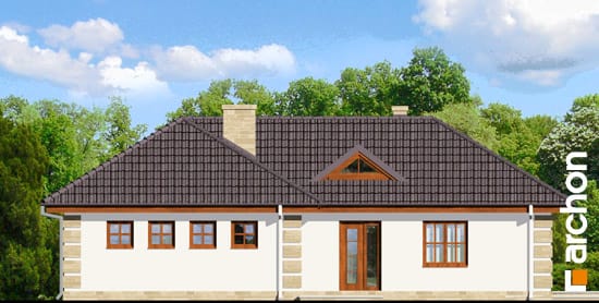 Archon+ Projekty domów - Dom w powojach - elwacja frontowa