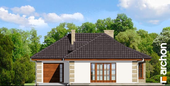 Archon+ Projekty domów - Dom w powojach - elewacja boczna