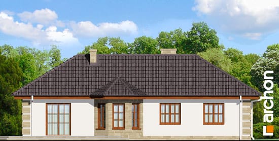 Archon+ Projekty domów - Dom w powojach - elewacja ogrodowa