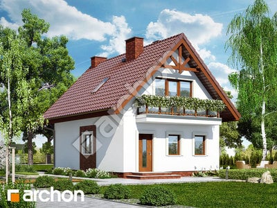 Archon+ Projekty domów - Dom w sasankach - widok 1