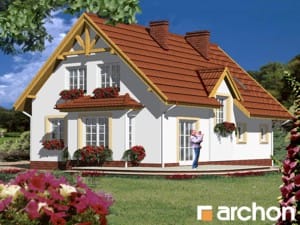 Archon+ Projekty domów - Dom pod jemiołą - widok 1