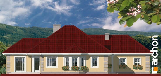 Archon+ Projekty domów - Dom w nasturcjach 4 - elewacja boczna