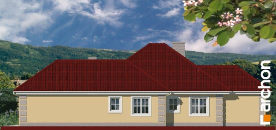 Archon+ Projekty domów - Dom w nasturcjach 4 - elewacja boczna