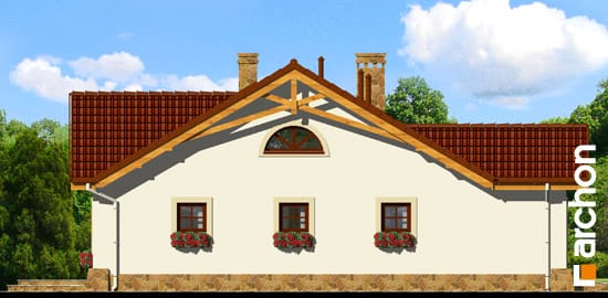 Archon+ Projekty domów - Dom w tawułkach - elewacja boczna