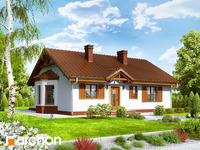Pełnobranżowe odbicie lustrzane - Dom w jeżynach 2