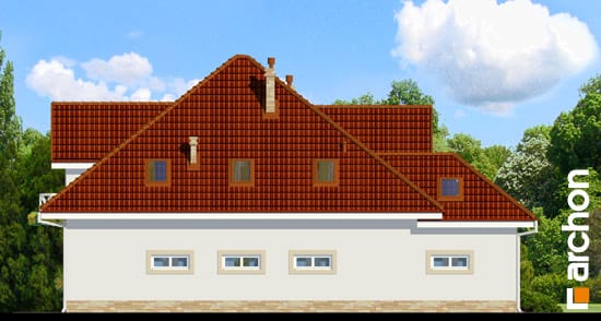 Archon+ Projekty domów - Dom w ambrozji - elewacja boczna