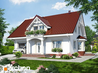 Pełnobranżowe odbicie lustrzane - Dom w aksamitkach 4