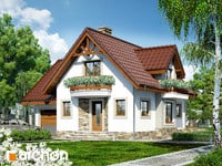 Pełnobranżowe odbicie lustrzane - Dom w antonówkach (GP)
