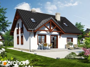 Archon+ Projekty domów - Dom w borówkach 3 - widok 1
