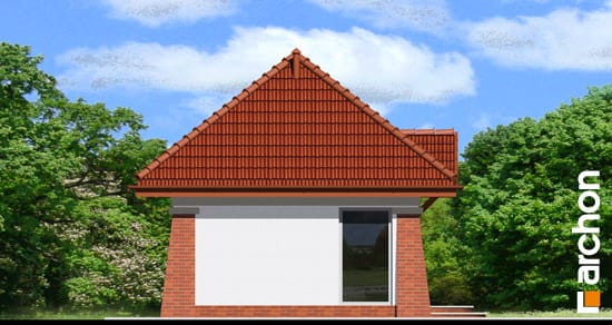 Archon+ Projekty domów - Pawilon usługowy - elewacja boczna