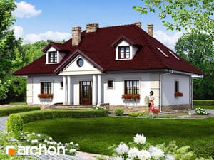 Archon+ Projekty domów - Dom w astrach (P) - widok 1
