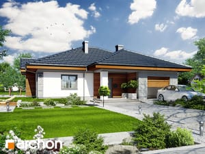Archon+ Projekty domów - Dom w jonagoldach - widok 1