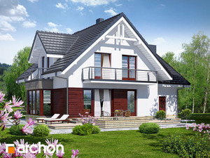Archon+ Projekty domów - Dom w tamaryszkach 2 (N) - widok 2